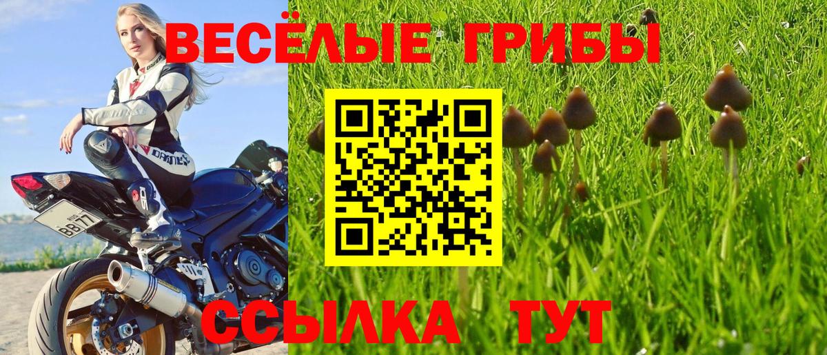 Галлюциногенные грибы Psilocybine cubensis  Вход с VPN  Зима 